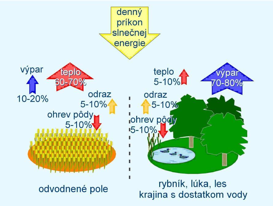 4) Úloha evapotranspirace v tvorbě klimatu- Voda a rostlina: úroveň porostu