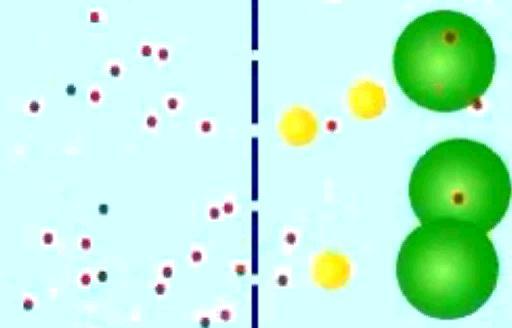 3. Vodní potenciál, osmóza, turgor vodní potenciál - ozmóza Ψ s potenciál osmotický (množství