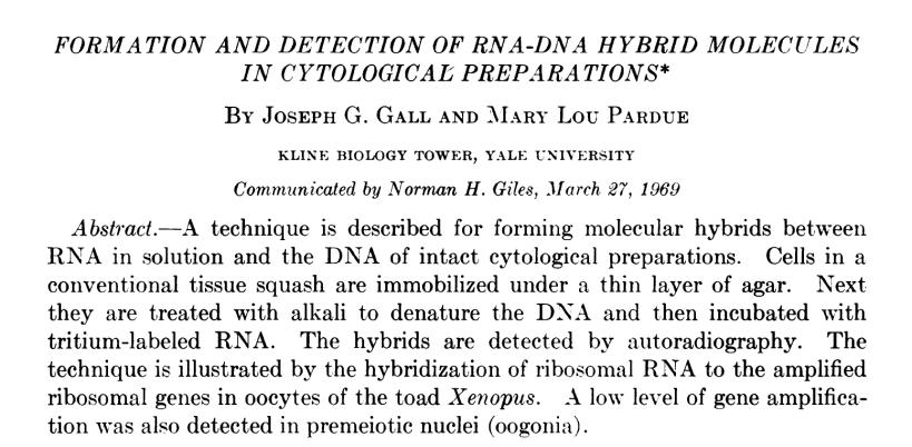 In situ hybridizace.