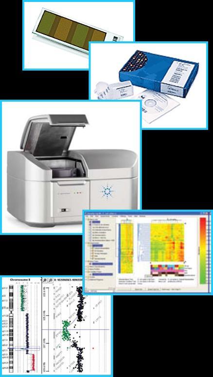 Celkový přehled vyšetření pacientů s PMR na OLG FN Brno v letech 2007-2014 pomocí array-cgh Celkově 171 vyšetření 86