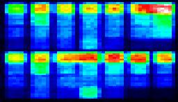 Sequence Variability (DNA