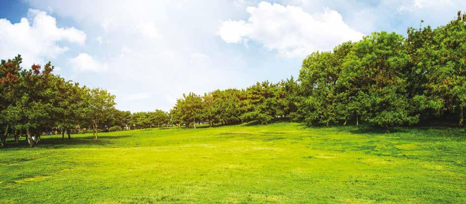 Postupem času se pojem tábor stal přitom poněkud zavádějícím, protože současné golfové kempy se většinou neodehrávají pod stanem ani ve spacáku. Prázdninové kouzlo pobytu v přírodě však zůstalo.