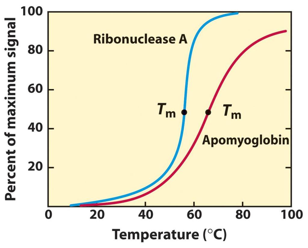 Denaturace o podstatná změna prostorového uspořádání biopolymeru, která vede ke ztrátě jeho biologické aktivity o vyvolaná fyzikálními i chemickými o faktory (teplo, vysoké tlaky, záření,.