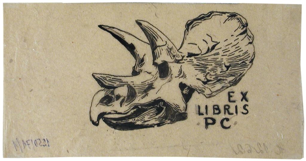 Projet d ex libris demandé par Claudel, après sa visite au musée de Francfort sur le Main, papier-calque Návrh exlibris s lebkou Rhinocera, kterou zhotovila na