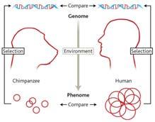nás zřejmě náchylné k neurodegenerativním nemocem Může to být náš start k inteligenci? B. lieberman, Nature 454 (2008) 21 23. Doporučená literatura D. Deamer, J. W. Szostak (eds.