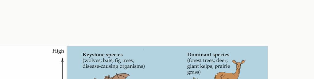 SROV Á Í DIVERZITY MEZI OBLASTMI BOHATSTVÍ DRUHŮ (species richness) počet druhů, species