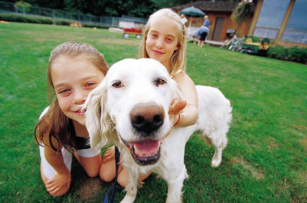 WAS IST AUF DEM BILD? Warum ist auf dem Bild gerade der Hund?