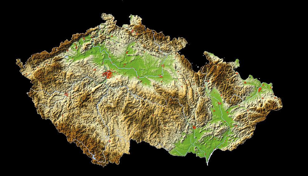 číslo poklesu (sec) E 333 obsah NL (%) A 13,1 Zelenyho test (ml) A 47 objemová hmotnost (g/l) E 810 Potravinářská jakost A Jednotlivé ukazatele potravinářské jakosti ukazují na velmi stabilní a