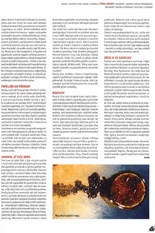hodně eufemické, způsobuje hnilobu kořenů vedoucí k zlomení/úhynu stromu a co houby mutualisticky symbiotické a parazitické?
