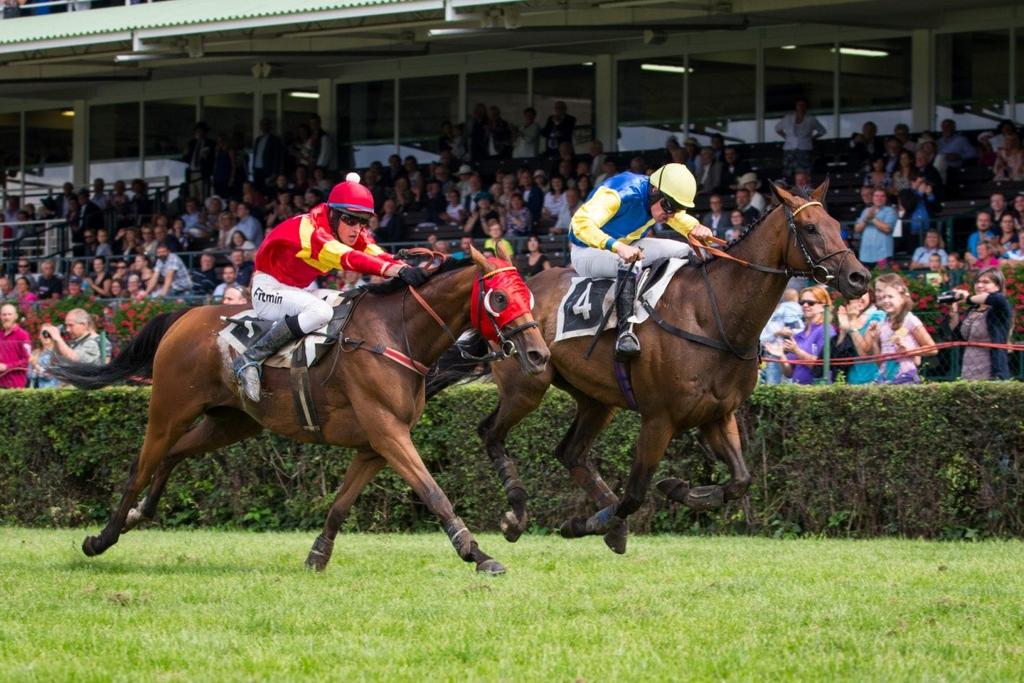 Vicody (blíže) prohrává souboj s Tzigane Du Berlais v Ceně Peruána - předzkoušce Ceny Labe foto:jana Syručková Cena Vltavy Odkryje Vltava dalšího koně do Velké?