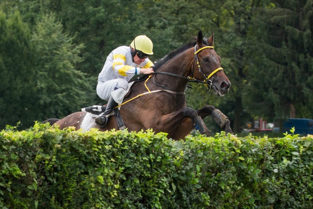 Velká pardubická s Českou pojišťovnou Charme Look s Janem Faltejskem foto: Jana Syručková Přijíždějí Francouzi Na startu Velké pardubické bude trio reprezentantů galského kohouta.