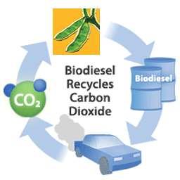 Proč biopaliva?