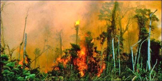 generace Poškození či zánik jedinečných ekosystémů (deštné pralesy) Naředěná energie (1. a zvláště 2.