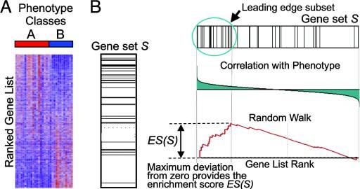 penrichment analysis biomarkery v datech genové exprese výběr obohacených množin genů dedikovaná metoda Gene Set Enrichment Analysis (GSEA) Subramanian et al: GSEA: a