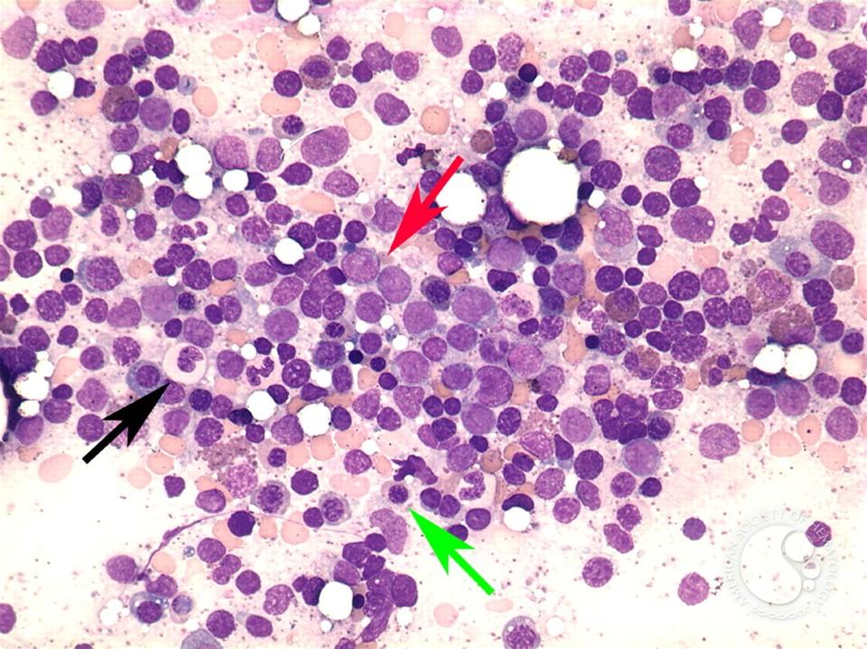 pintegrace mrna, mirna a metylačních dat projekty IGA MZ 2013-2015 XGENE.
