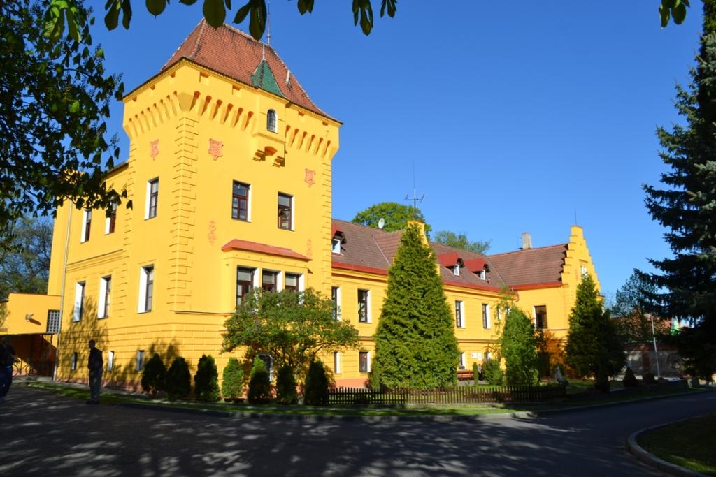 Výroční zpráva o
