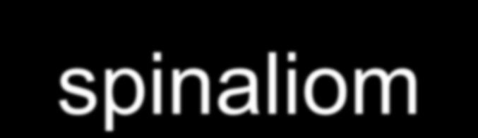 spinaliom