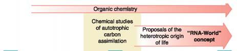 L. Bada and A. Lazcano, Science 300 (2003) 745 746.