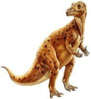 Thyreophora: stegosauři