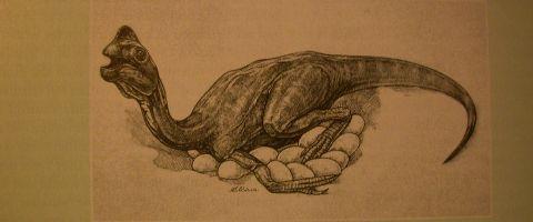 Oviraptor přímé