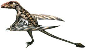 Rhamphorhynchoidea