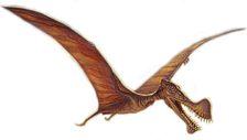 Eudimorphodon,  