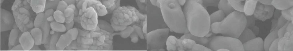 připravit co nejčistší formu χfe 5C 2 Podle snímků ze skenovací elektronové mikroskopie (obrázek 37a, b) můžeme říct, že došlo k nárůstu velikosti nanočástic, způsobené sintrací