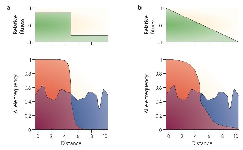 spatially varying selection