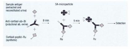 Kortizol, ACTH. Roche s.r.o., Diagnostics Division - PDF Free Download