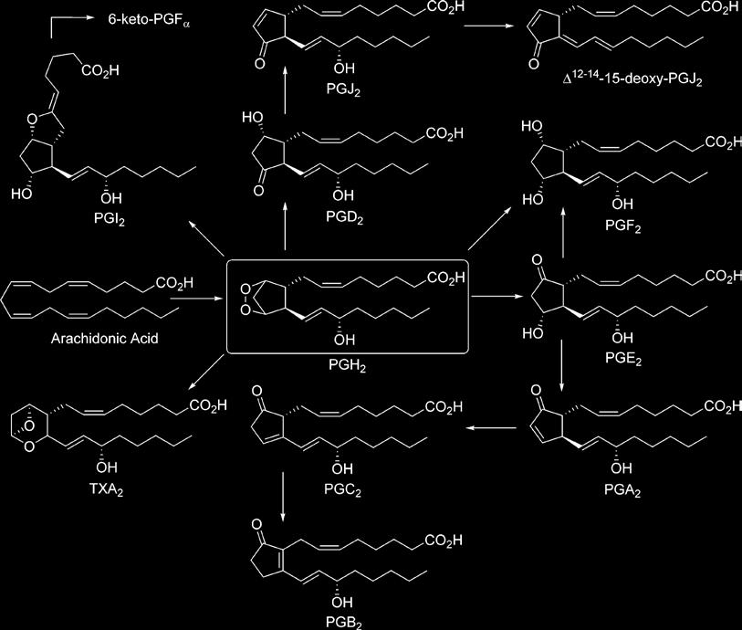 h) Prostaglandiny (a prostacykliny/pgi 2 ) Reviews: Grée R.