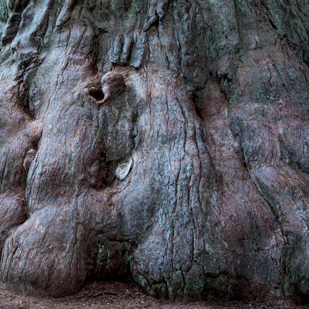 Otázka HOSPODÁRNOSTI A Matter of Economy UV laky Pod ultrafialovým světlem vytvrzují naše UV laky ve zlomcích sekund.