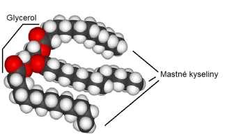 10 glycerol Karboxylové kyseliny - uhlovodíky s