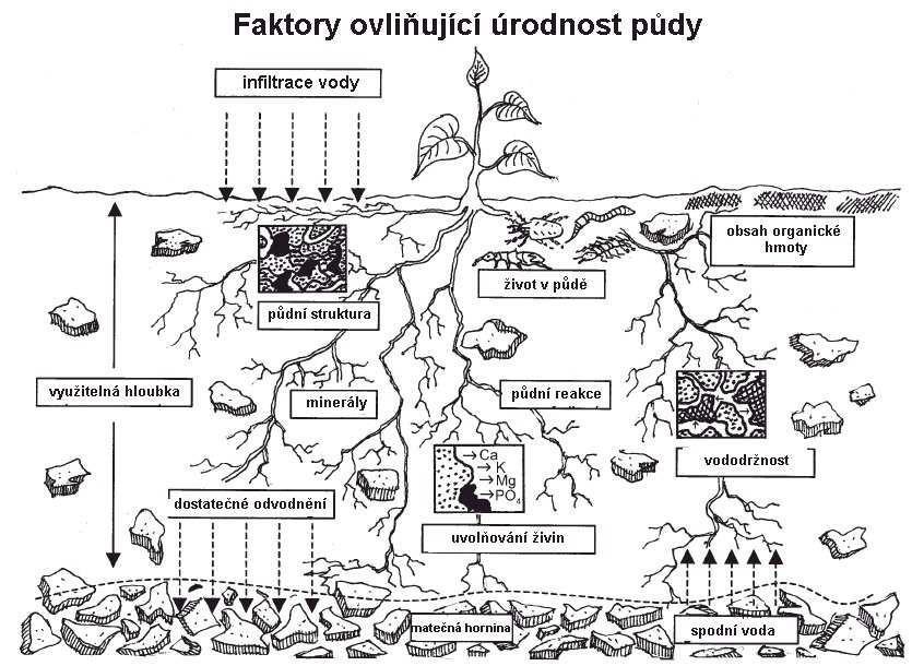 3 Vlastní popis metodiky 3.