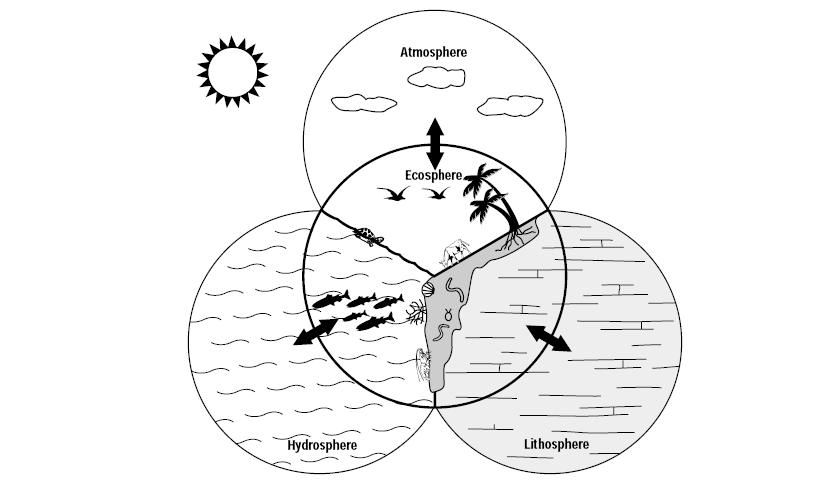 Biogeochemické cykly Anorganické prvky & sloučeniny jsou přijímány autotrofy a přeměňovány na komplexní organické atmosféra biosféra molekuly