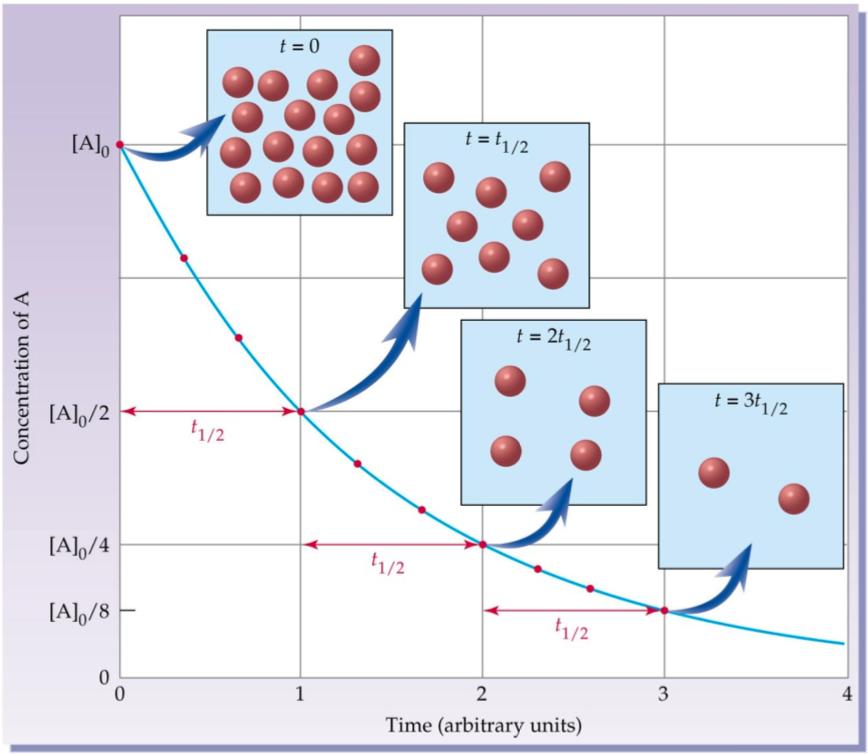 Chemická kinetika Poločas rozpadu čas, za ktery se