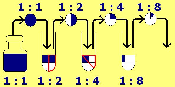 Geometrická řada bez předředění původního séra (na začátku máme původní sérum, ve zkumavkách