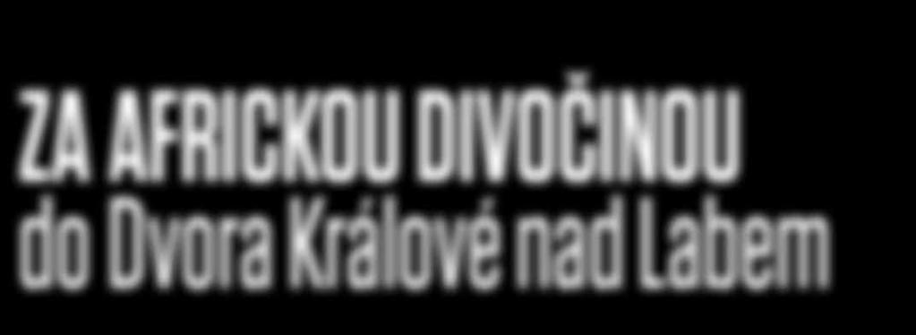 Nejenže vypracoval projekt na rozšíření zahrady a vybudování safari, ale také podnikl devět expedic do Afriky, kde odchytil přes tři tisíce zvířat, jimiž