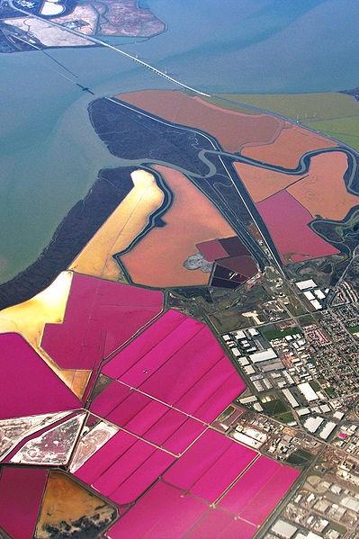Salt ponds SF