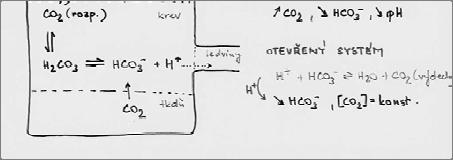 acidobazická rovnováha uzavřený vs.