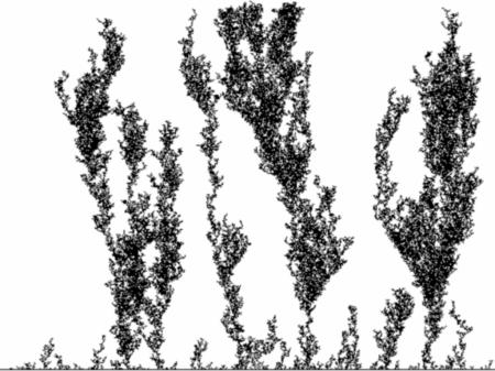 Obrázek 3.15: Rostlina vygenerovaná pomocí simulace difúze Pomocí simulace difúze je možno vygenerovat mnoho zajímavých obrázků s fraktální strukturou.