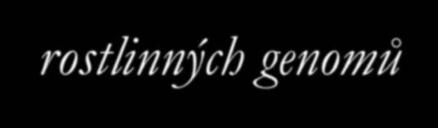 Teoretické otázky genetického mapování rostlinných genomů Podstata genetického mapování