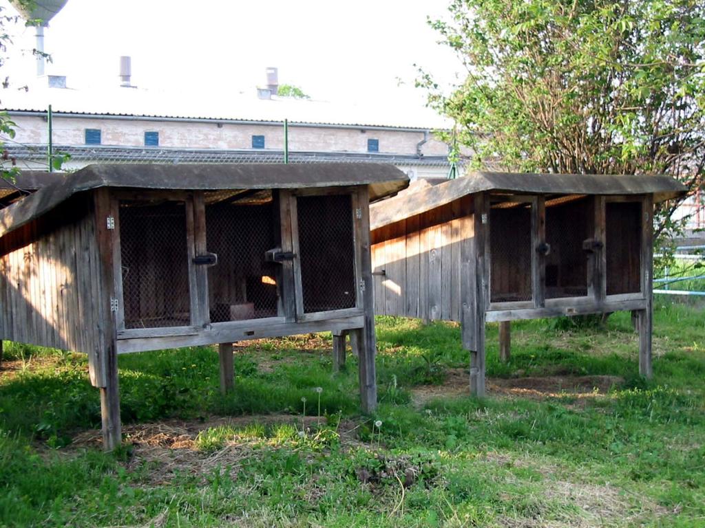 KLIETKY pôdorys 2, 00 x 1,74 m kostru tvorí konštrukcia z hranolov 6 x 8 cm bočné steny sús obité doskami hrúbky 2 cm predná stena z pletiva z drôtu, hrúbka 1,5 mm, veľkos kosť oka 2 x 2 cm podlaha: