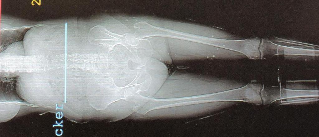 Obr. 9.