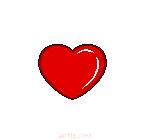 arterie venuly arterioly