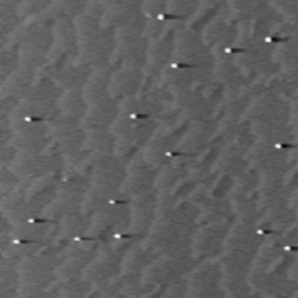 PL intensity [arb.u.] Re{dr/r} [10-3 ] 2,0 Re{dr/r} [10-3 ] C 8% InGaAs InAs QD 29% InGaAs 2,0 F 1,5 1,5 1,0 1,0 0,5 InAs WT WL/QD 0,5 4100 4125 4150 4175 time [s] Fig.4 4.
