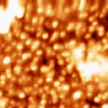 nanoparticles is about 10 nm and the distance of two neighboring nanoparticles is about 60 nm. This distance is too high to current conduction. 100nm Fig.5 AFM picture of Pd/InP interface. 5.