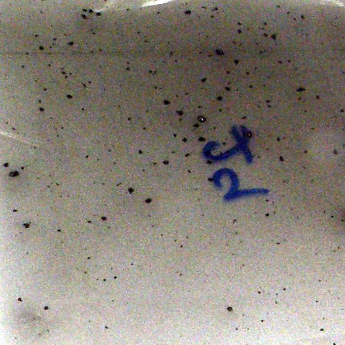substrate, after 5minutes, 15minutes and 90 minutes. On a composite filled with unmodified CNTs no such structures were observed independently on a dilluter content. Fig.5. Creation of modified MWNTs pattern in the composite.
