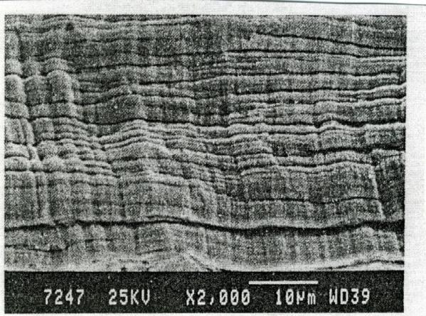 Fig.3. The free chip surface of the steel 17 242 10 v c = 130 m.min -1, f = 0,15 mm.ot -1, a p = 1,5 mm There was also noted, that this shear bands don t correspond to the atomic planes.