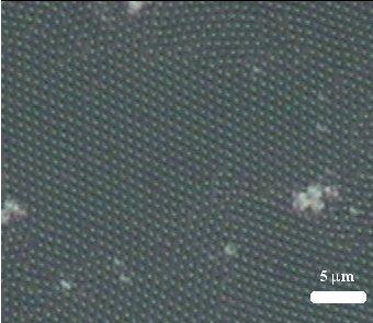 3. Experimental Results Using the procedure described in the previous section we produced samples ordered areas