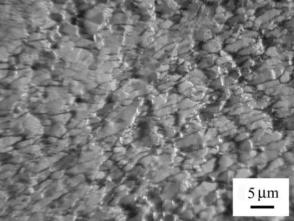 4. Discussion It is evident from the experimental results that in the case of the studied alloy, the variant which had been pressed at the highest temperature (493 K) has the best superplastic